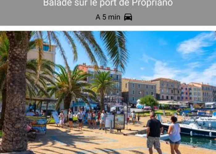 Corsica Sea View Ac Parking Apartman *